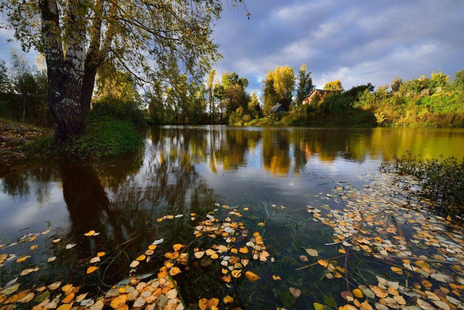 , Максим Евдокимов