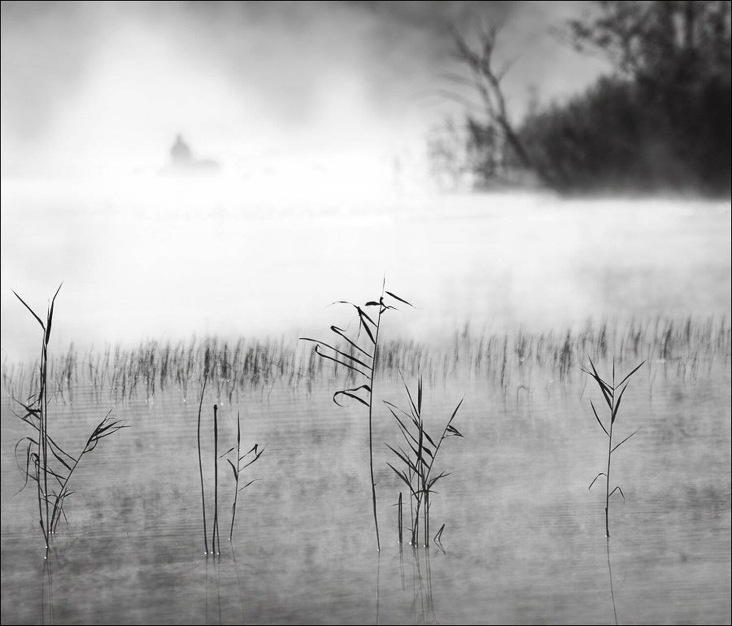 , Крицак Ольга