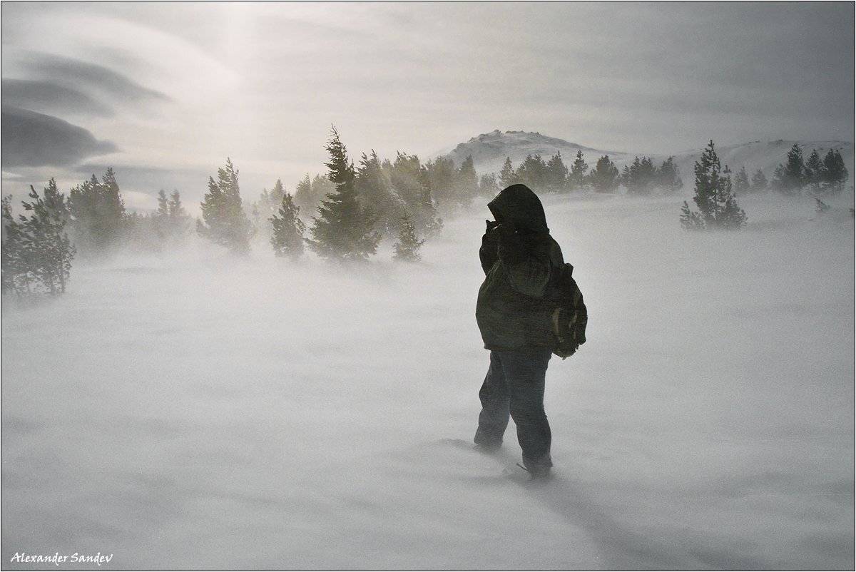 , Александър Сандев