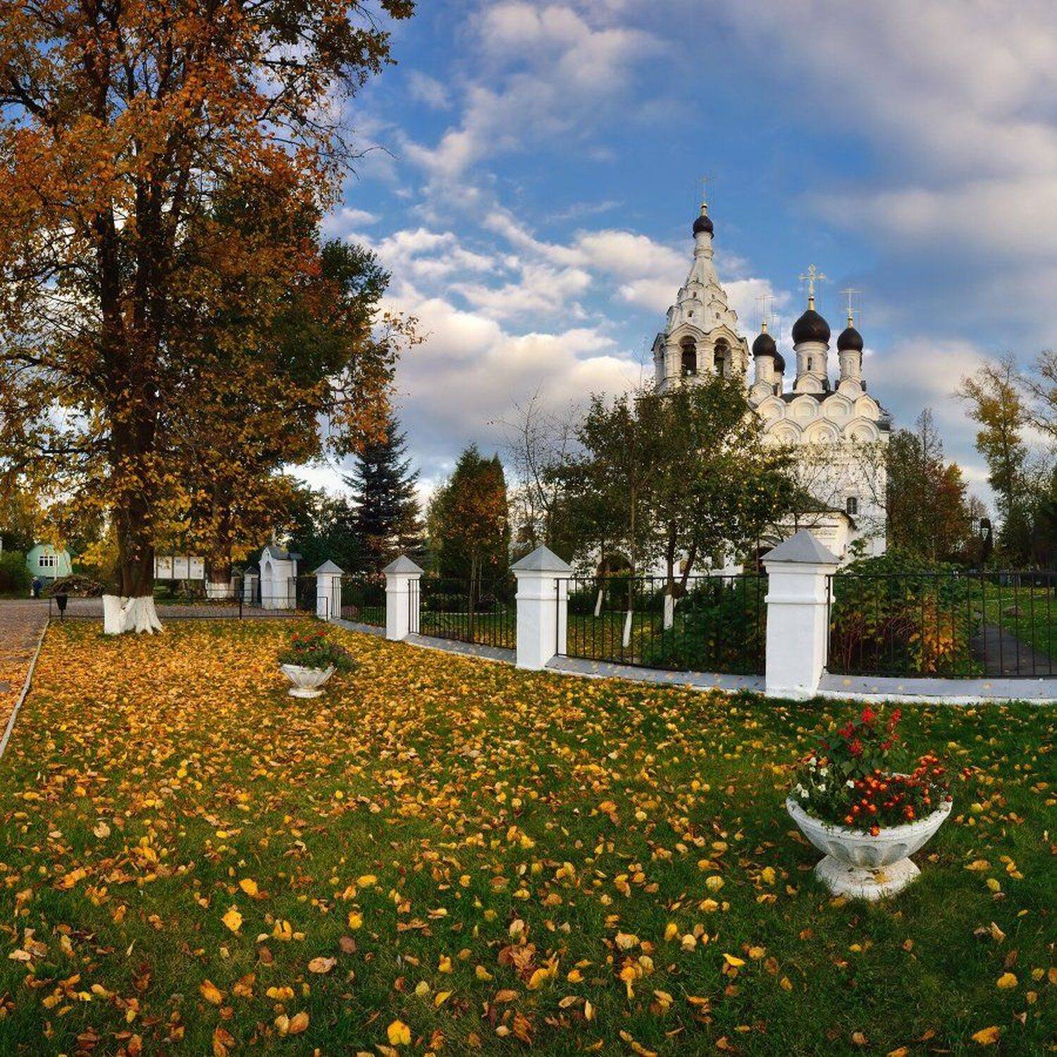 , Максим Евдокимов