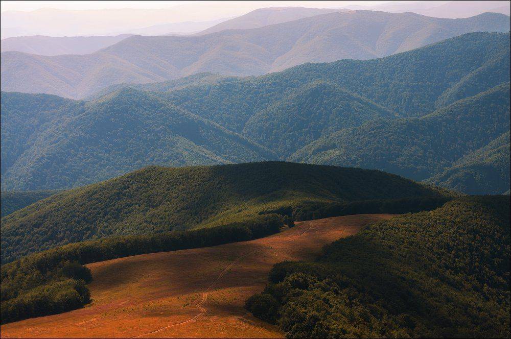 , Полищук И.В.