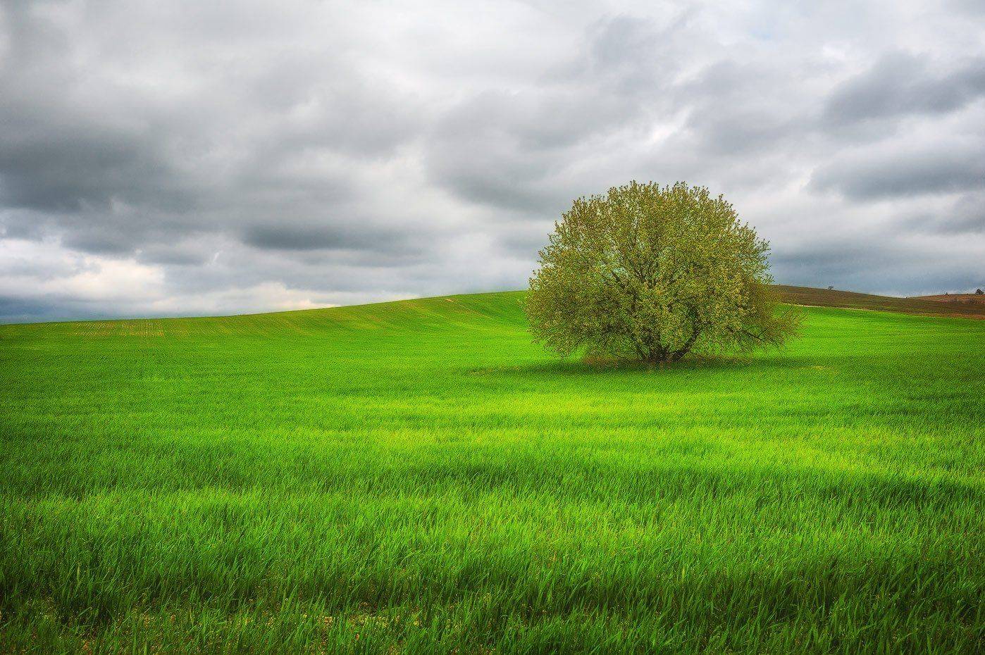 , Олег Логунов