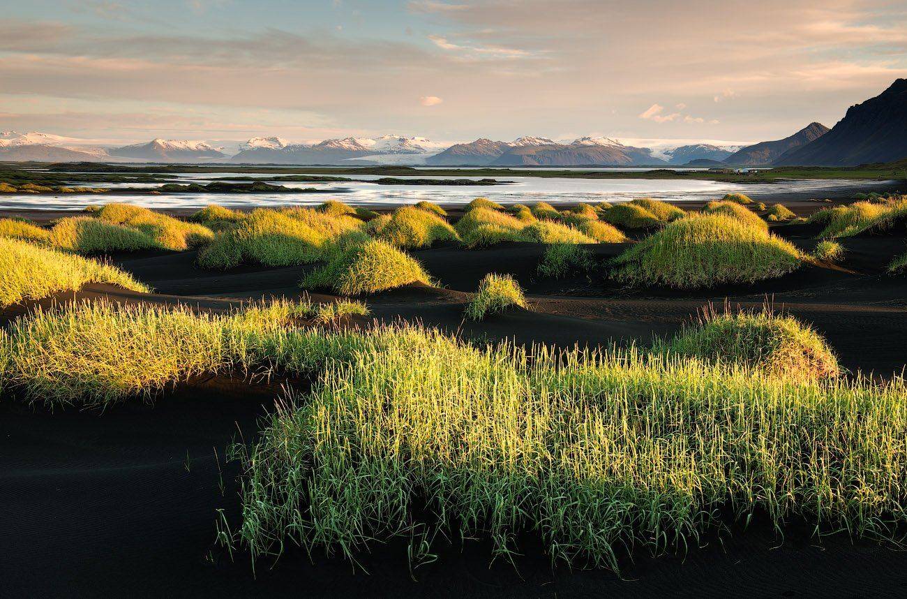 , Андрей Ведерников