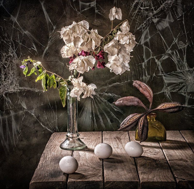 Три яйца фото превью