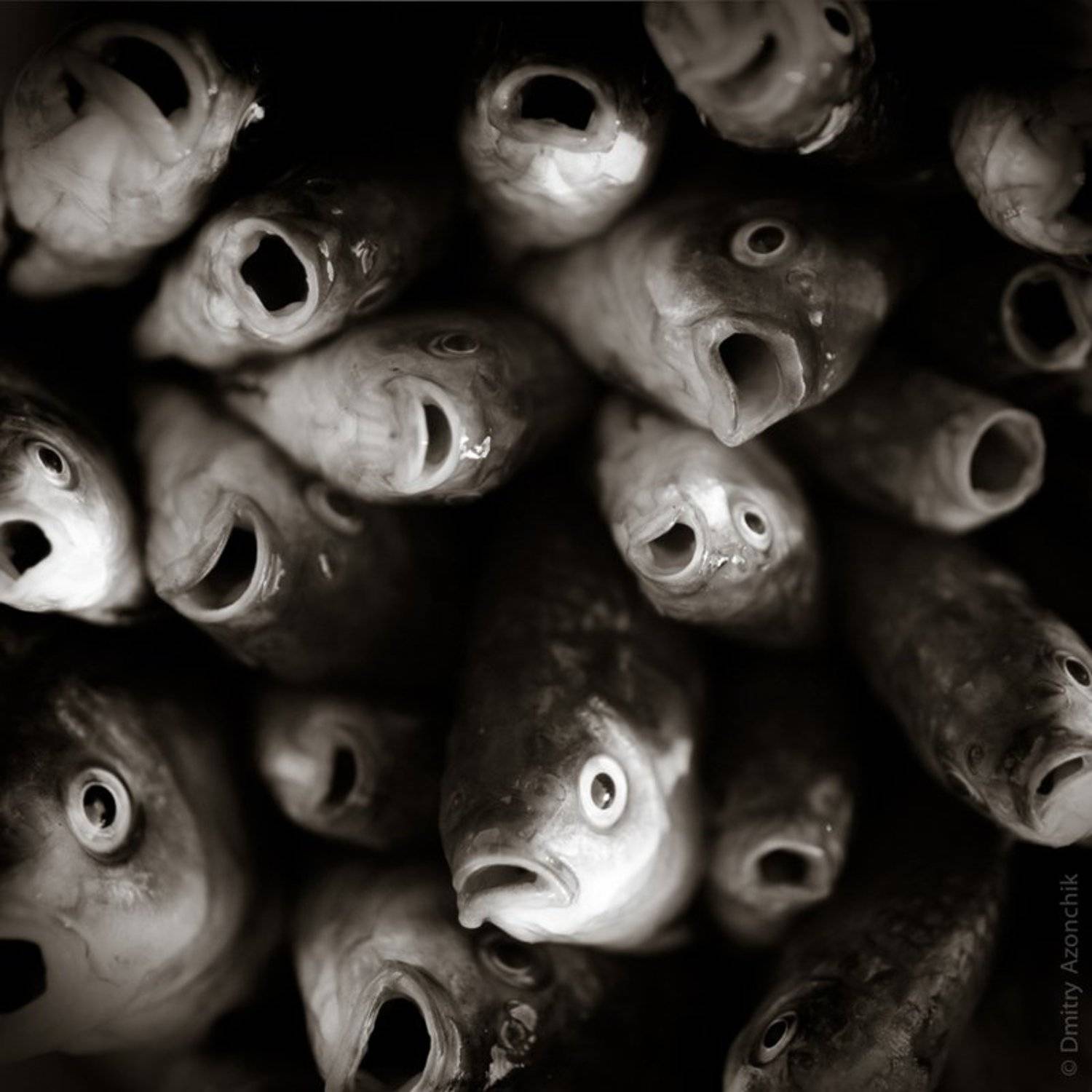 , Дмитрий Азончик