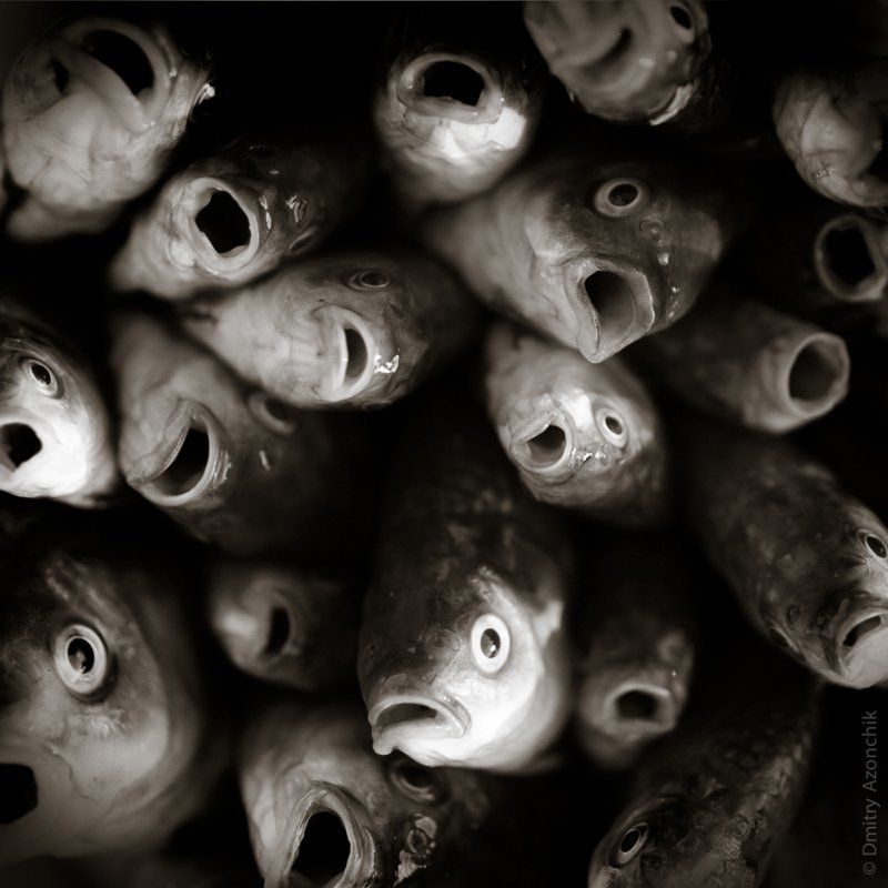 немая боль... фото превью