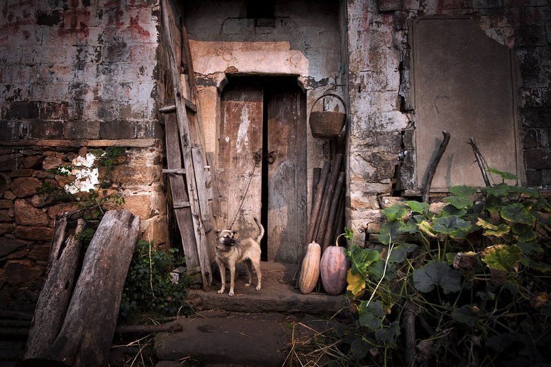 乡村  фото превью