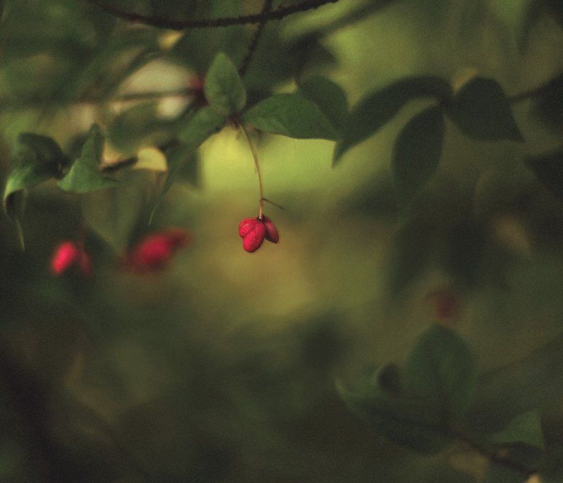 20 минут осени фото превью