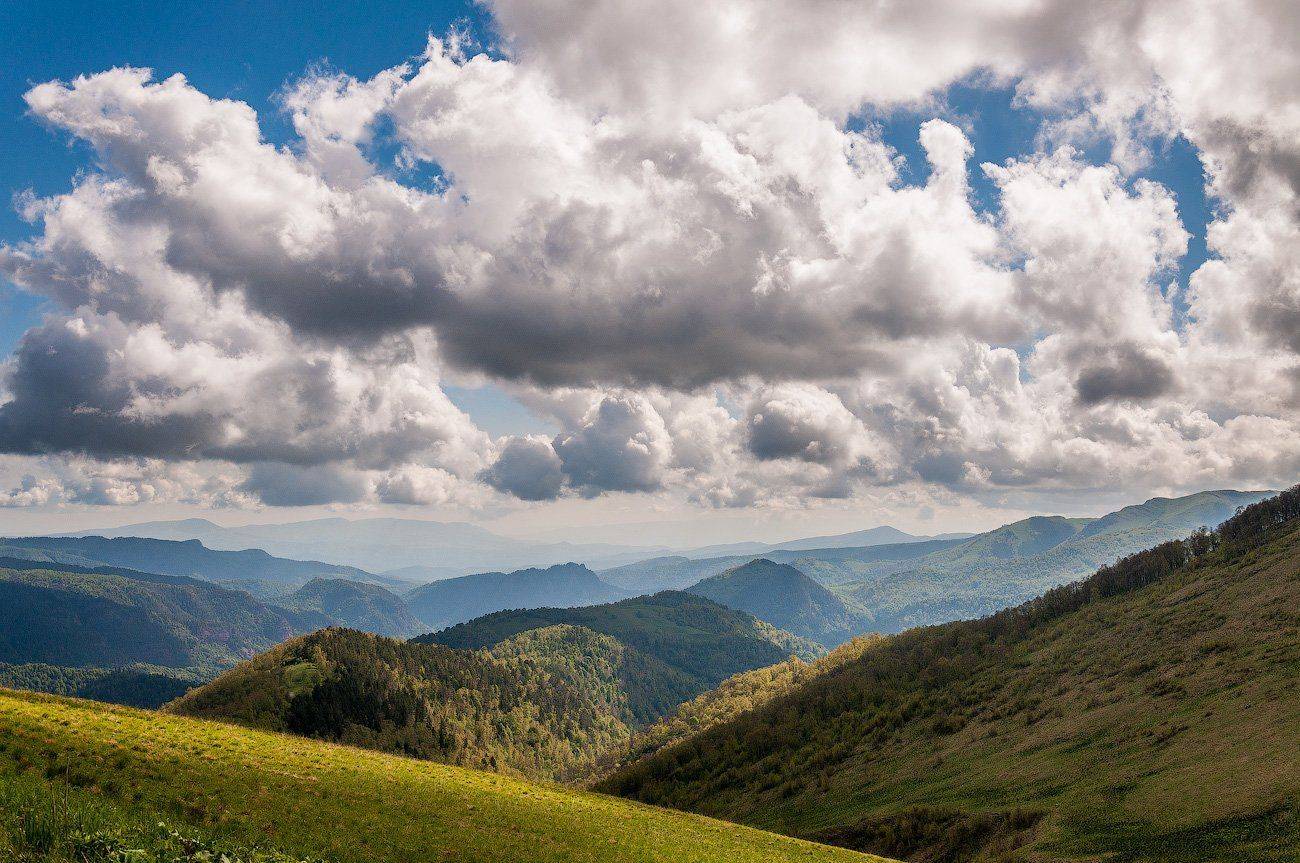 , Евгений Карпенко