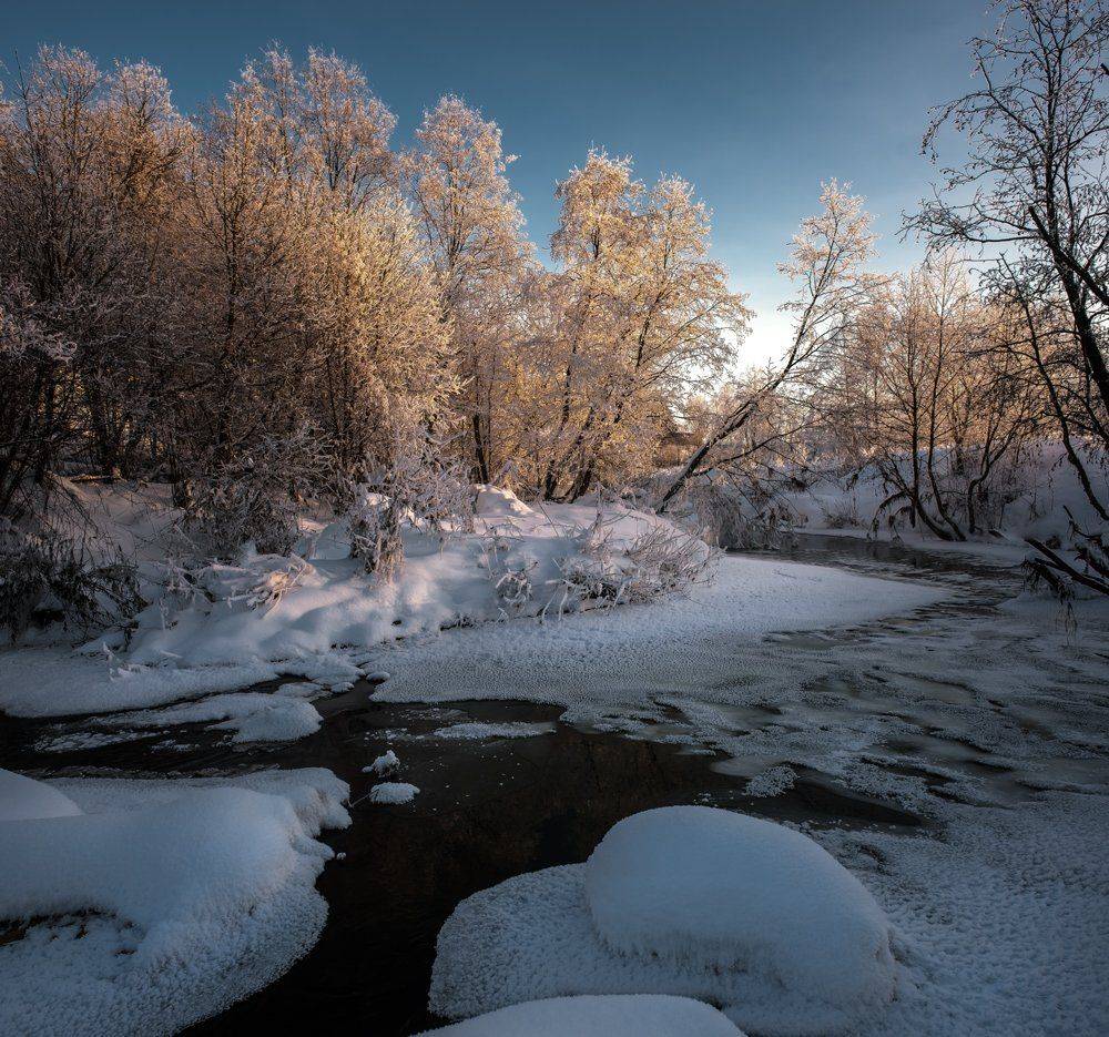 , Евгений Цветков