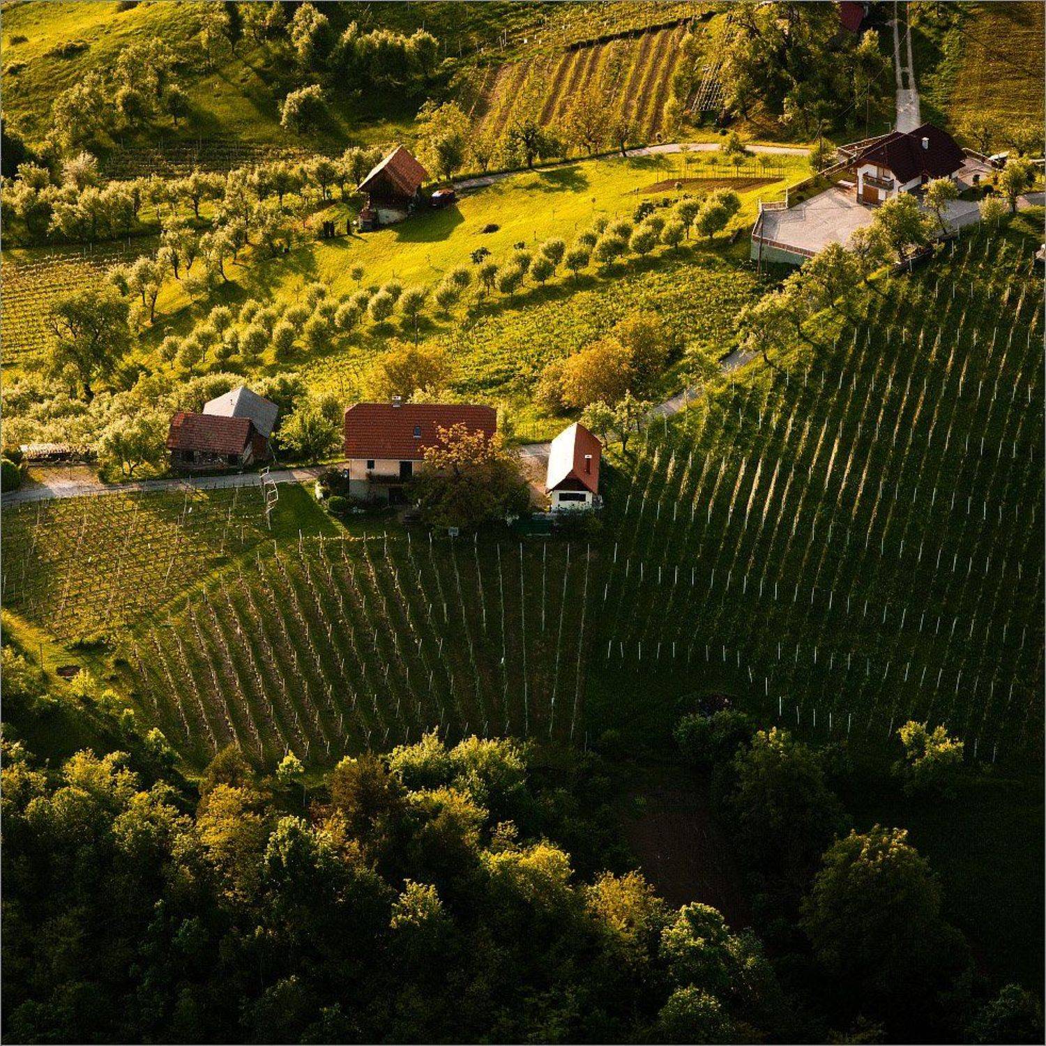 Словения, Нетушки