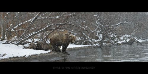 Зима идёт ...