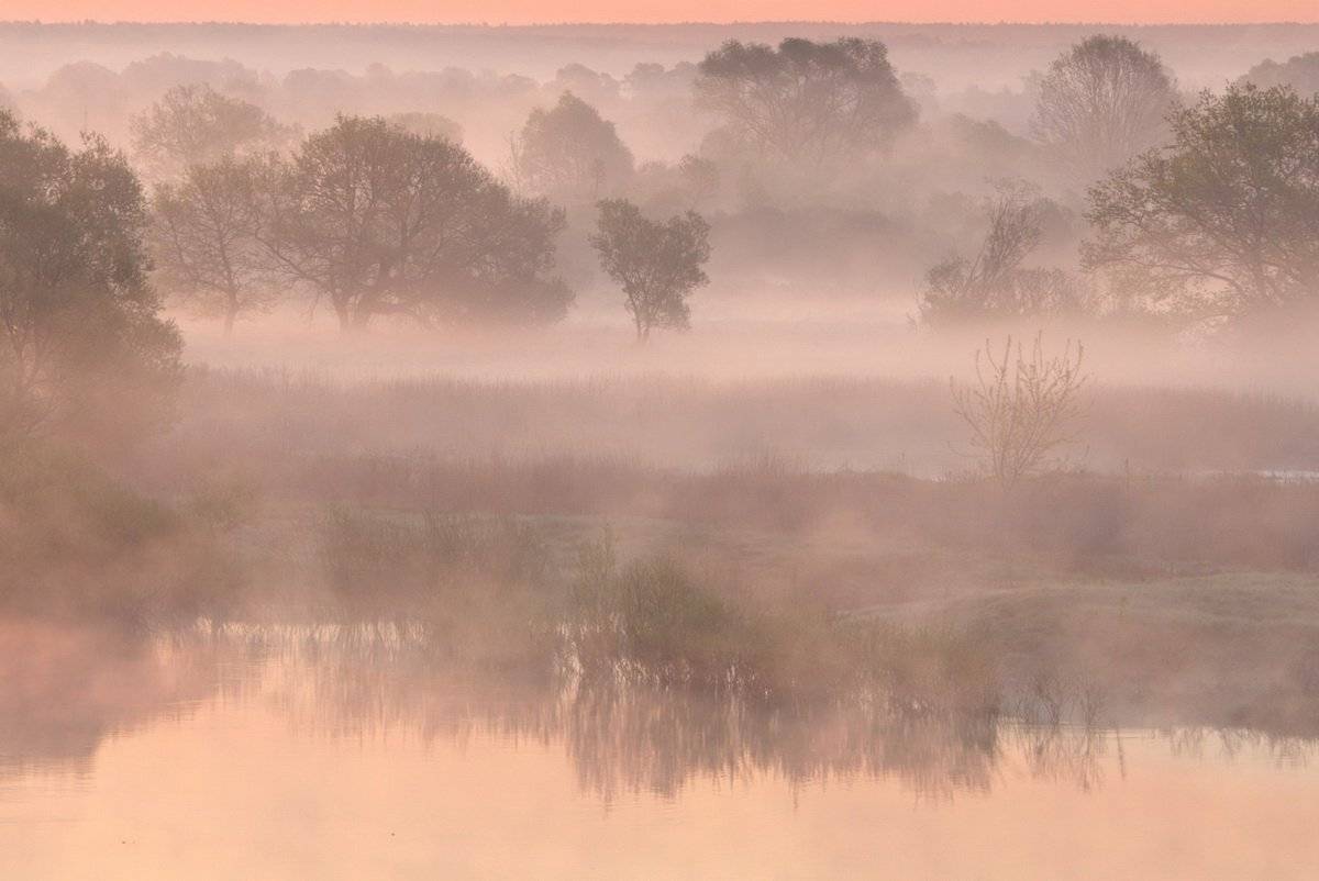 , Валерий Кондратов