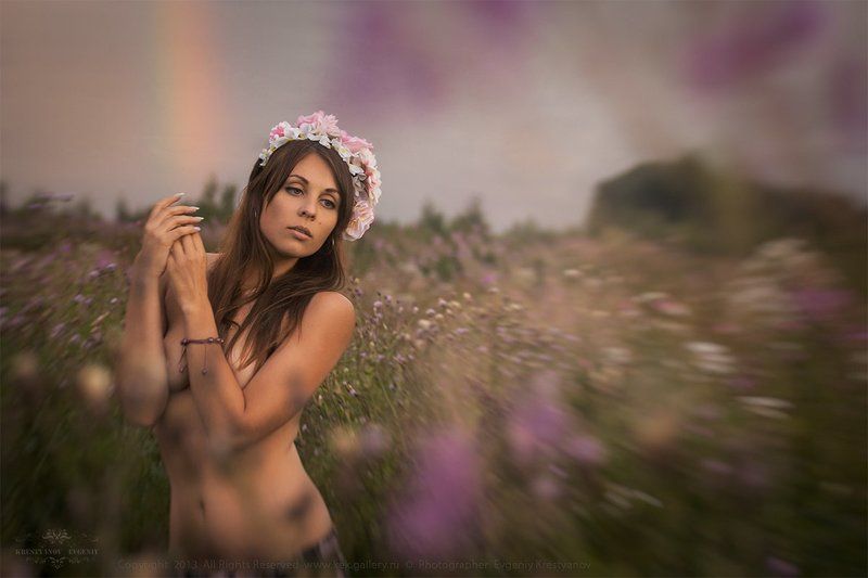 Цветочный луг фото превью