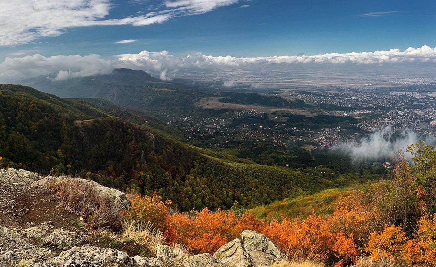 , Ирина Костова