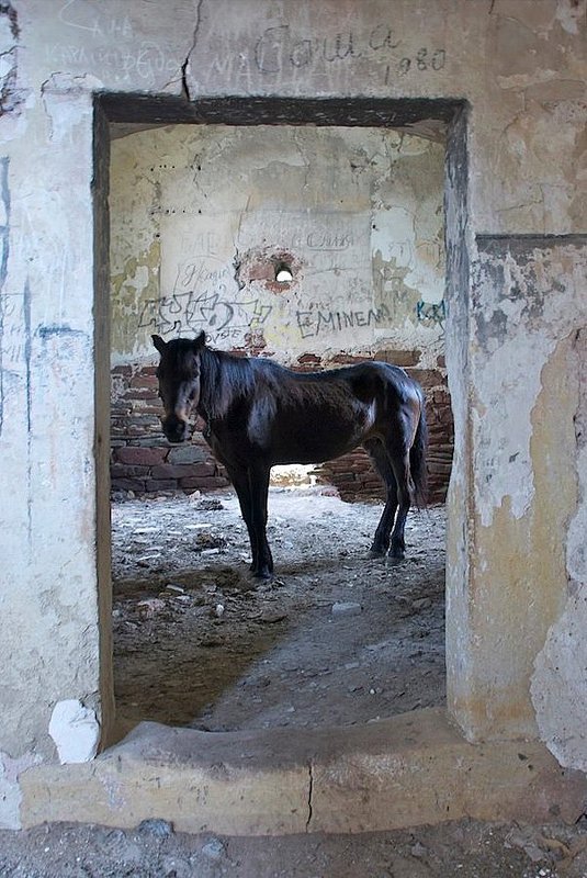 Портрет в интерьере... фото превью