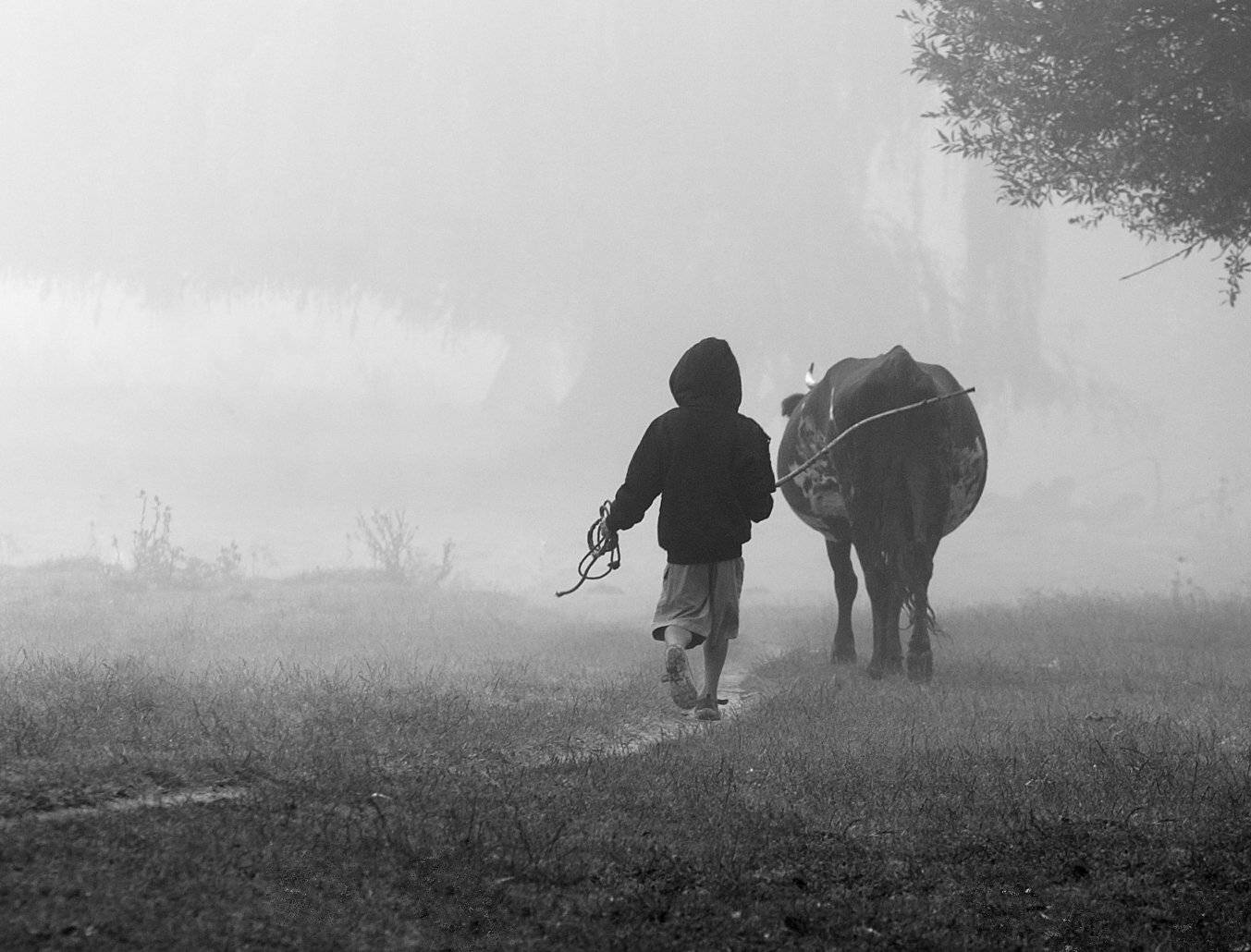 , Валерий Смирнов