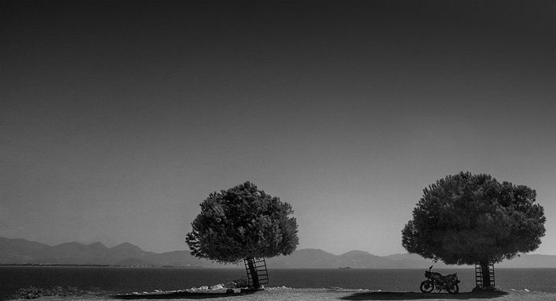 - фото превью