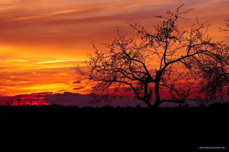 пейзаж, закат Churchyard фото превью