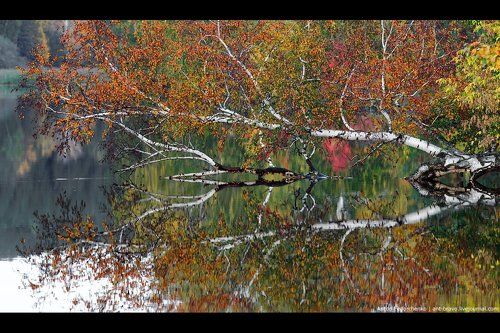 Autumn reflections