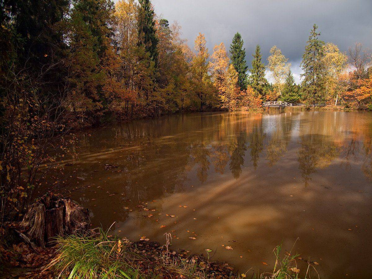 , Владимир Перепечаев