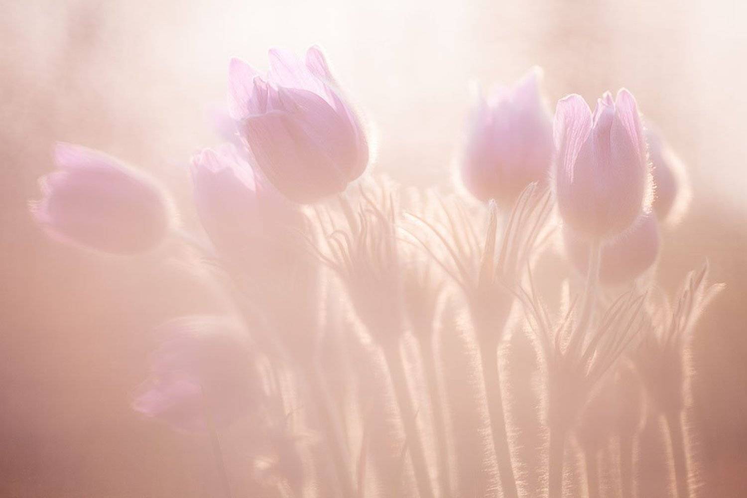 , Юлия Втюрина