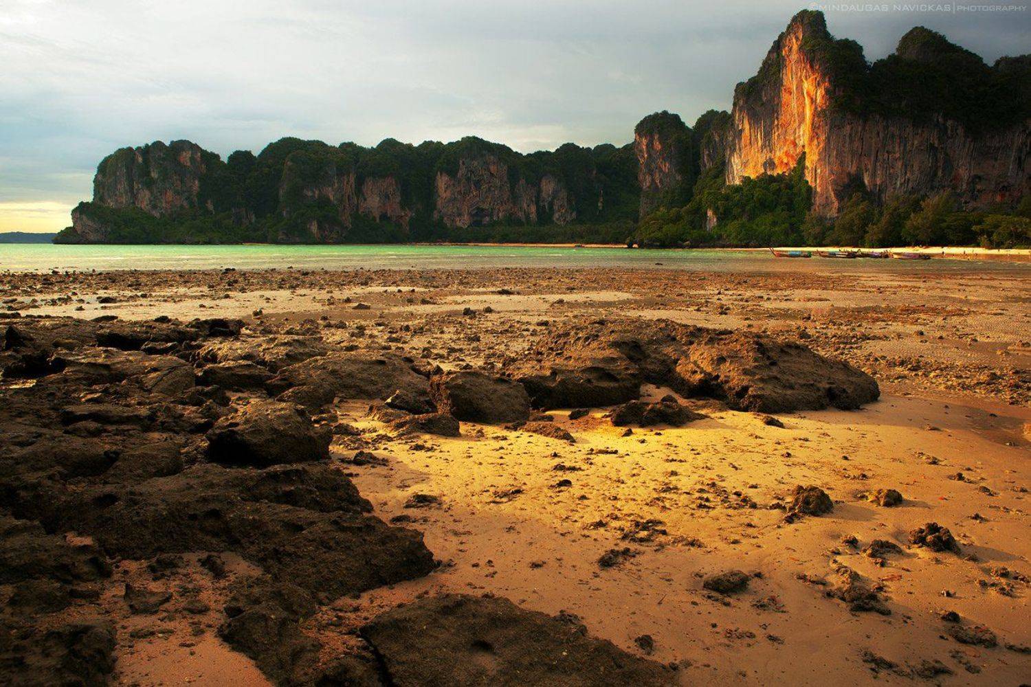 , Mindaugas Navickas