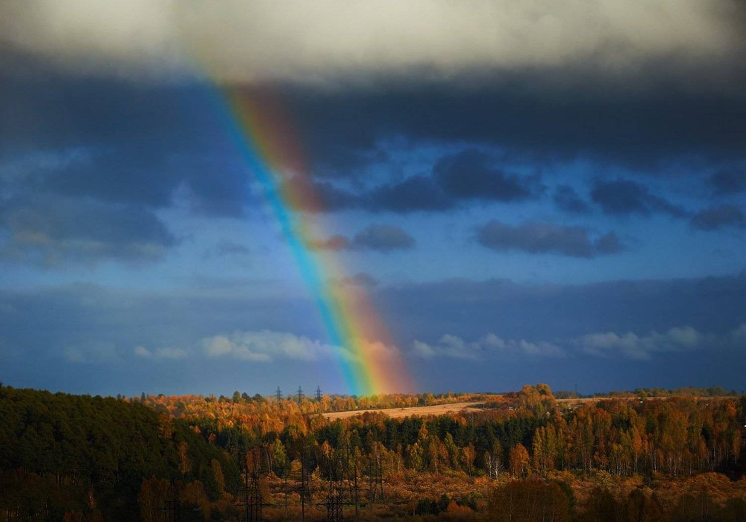 , Анна Аникина