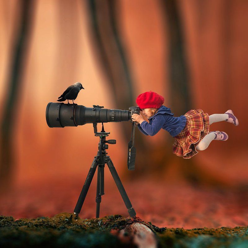 bird, bridge, calm, castle, cold, crow, dark, fairy, fly, fog, fruit, girl, gravity, island, lens, long exposure, manipulation, mist, motion, night, ocean, photoshop, psd, reflection, rocks, sky, storm, tower, tree, tutorials, water, wood The little hunter фото превью