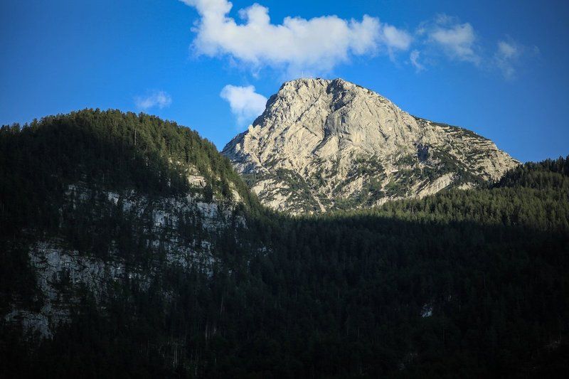 К вершине фото превью