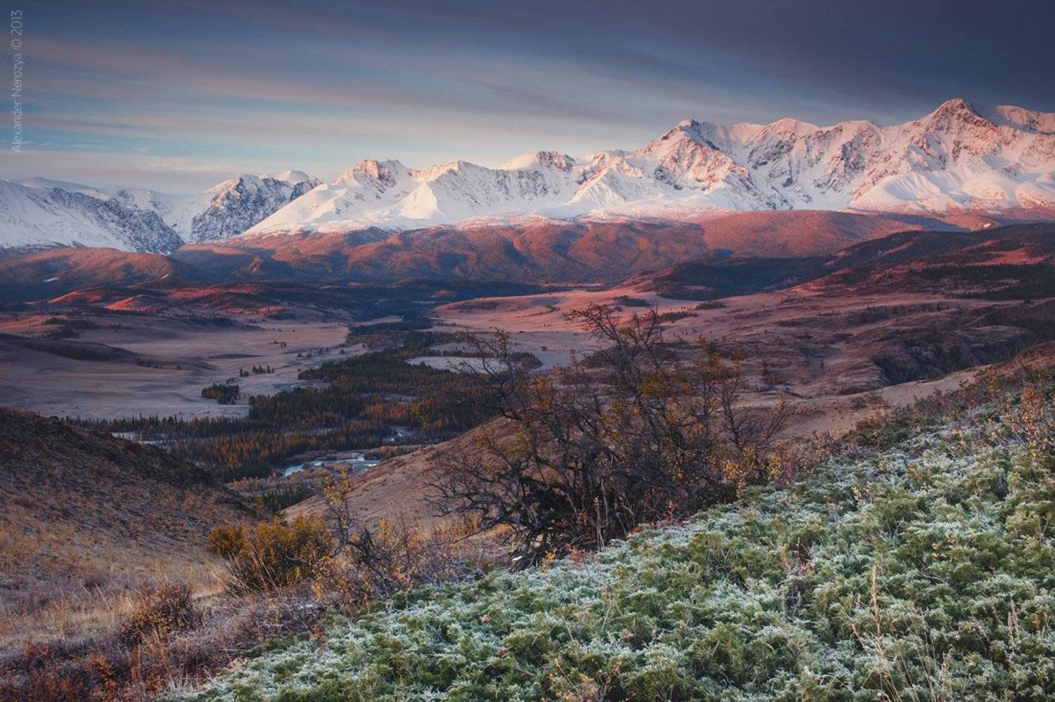 Алтай, Иней, Можжевельник, Осень, Рассвет, Северо-чуйский хребет, Сибирь, Утро, Александр 'Horimono' Нерозя