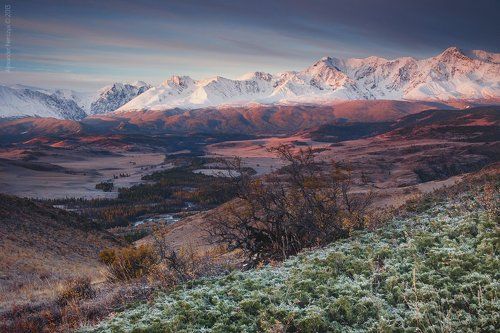 Три цвета утра