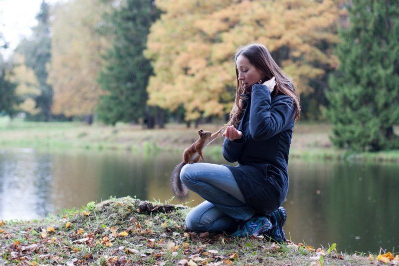Пушкинская белка фото превью