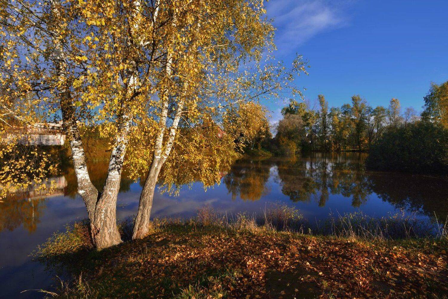 , Максим Евдокимов