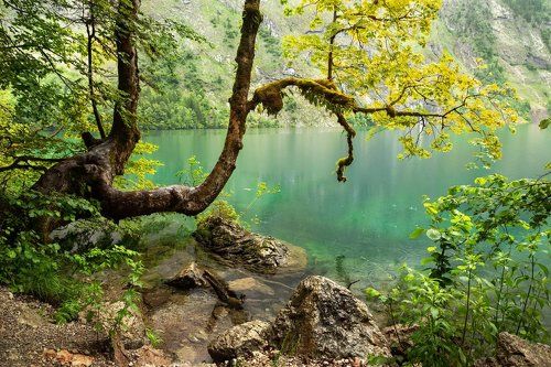 Каплями дождя прощается сентябрь