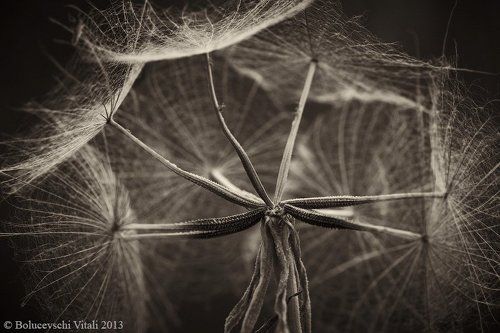 Элементы продолжение