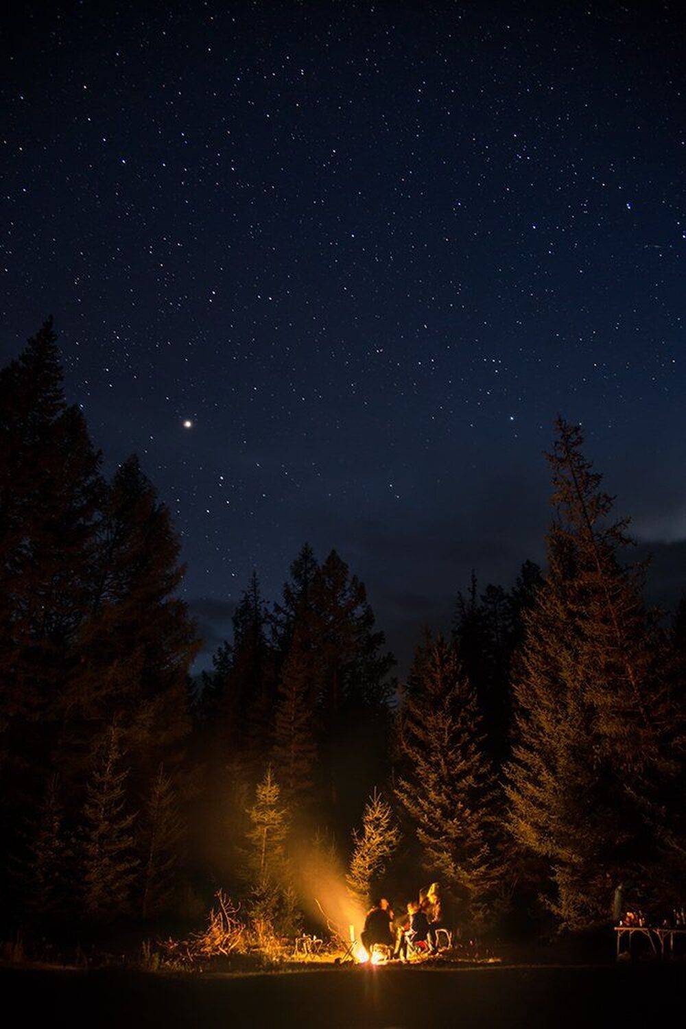 алтай, беседа, большой, вечер, высокий, горный алтай, горы, деревья, желтый, звезды, костер, красный, лес, ночь, огонь, оранжевый, отдых, пейзаж, поход, природа, размер, разрешение, сибирь, синий, туристы, черный, Дмитрий Антипов