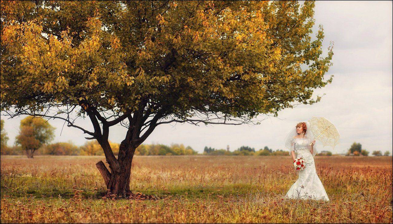 , Алексей Гуляев