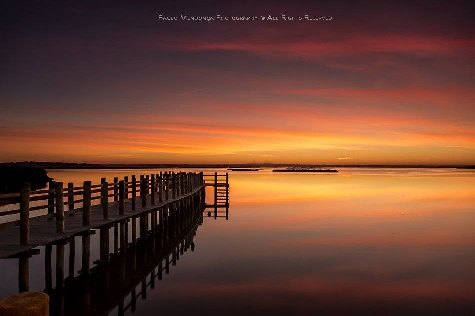 , Paulo Mendon&ccedil;a