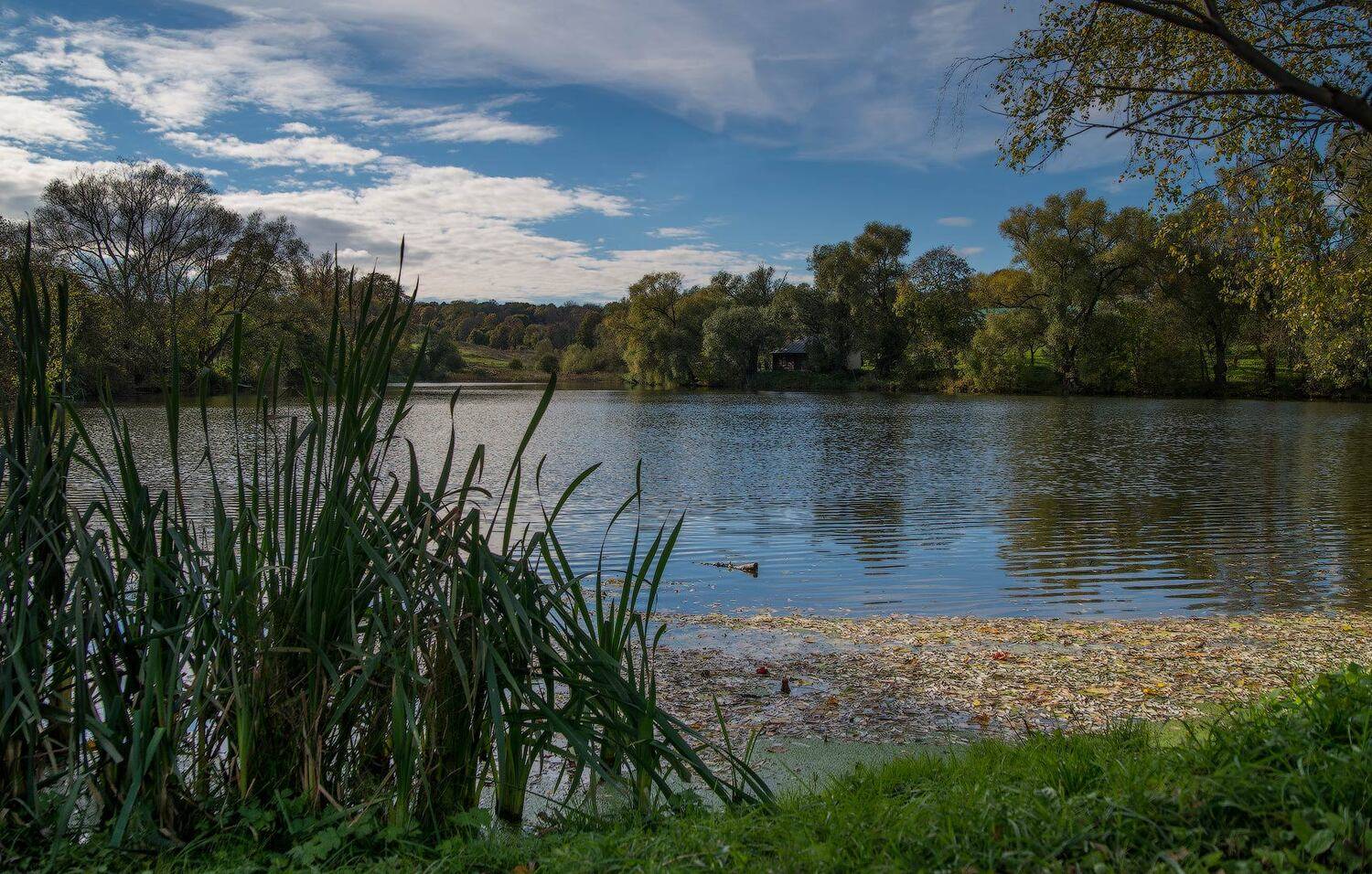 , Владлен Халимов