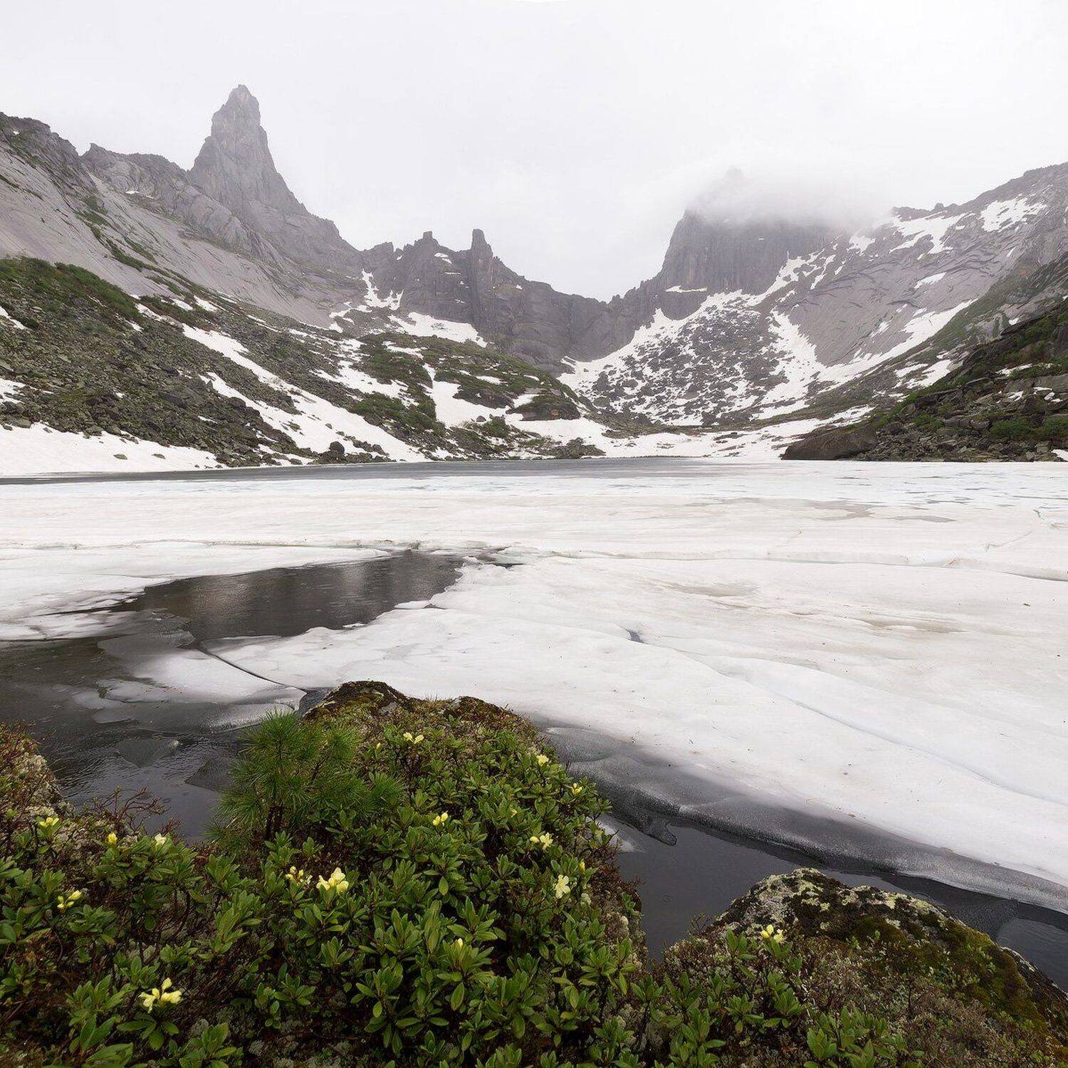 ергаки, озеро горных духов, пик звёздный, пик птица, рододендрон золотистый, Лещёнок Александр