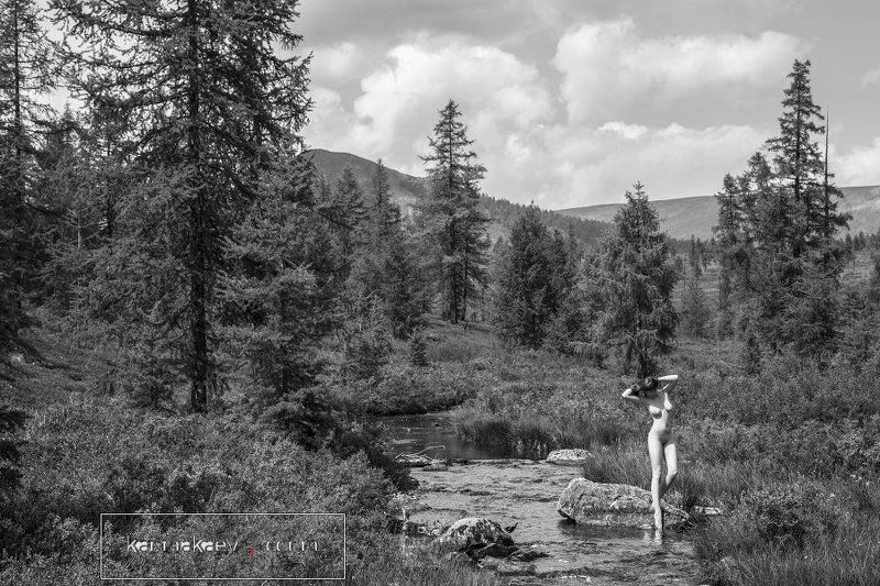 Naiad фото превью