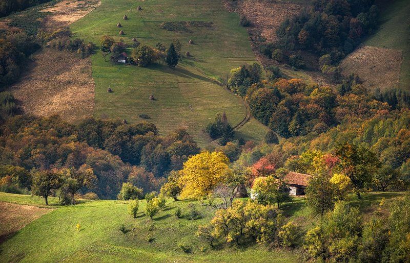 Autumn, Colors, Country side, Hill, Leaves, Nature  фото превью