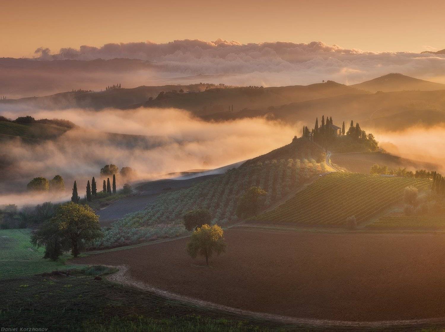 , Даниил Коржонов