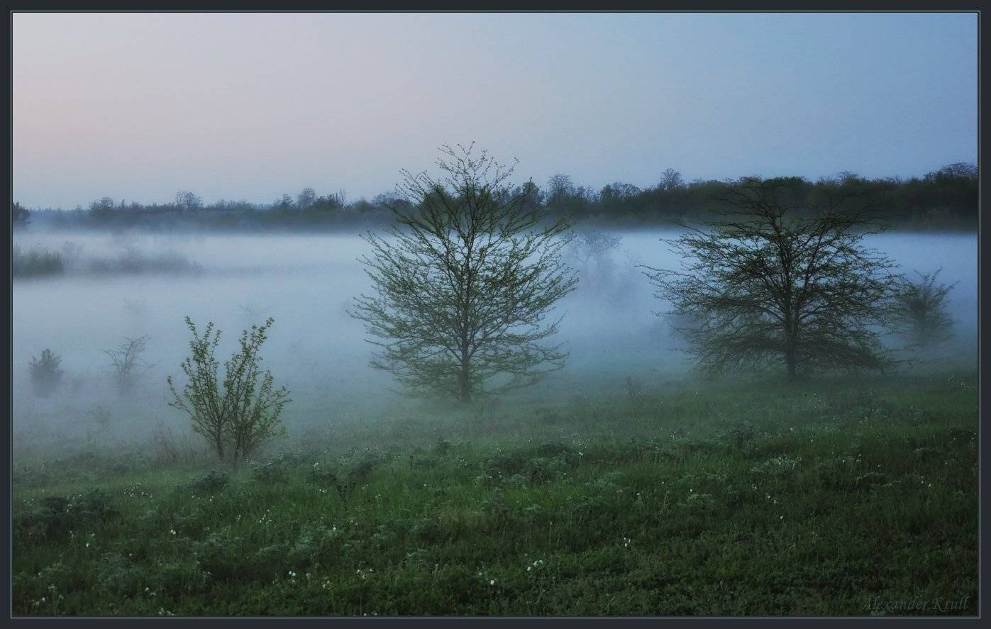 , Александр Круль