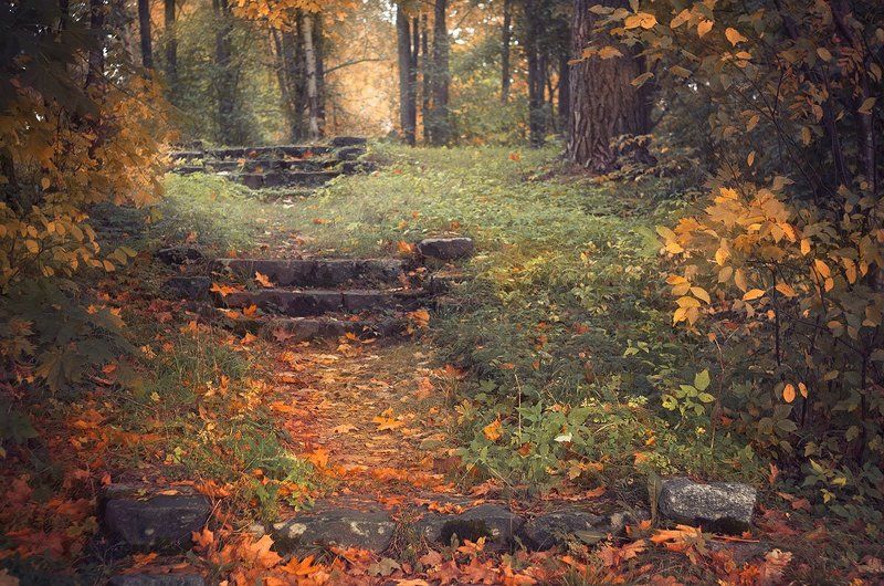 Вот и ты фото превью