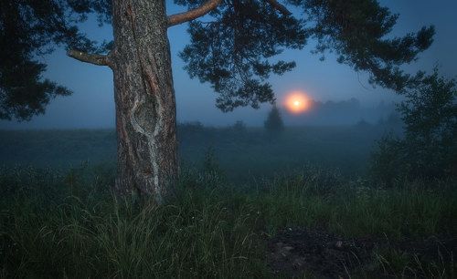 Очарование полной Луны