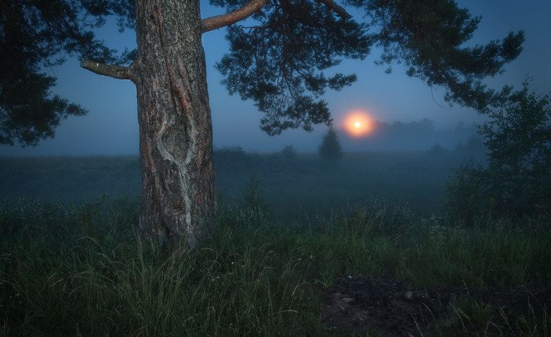 Очарование полной Луны фото превью