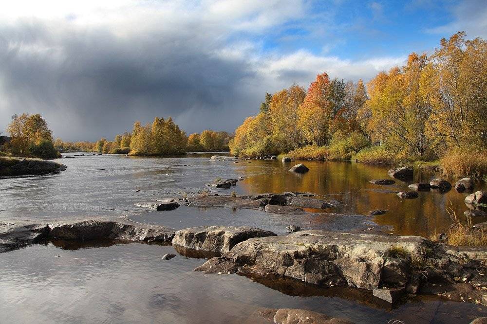 , Александр Коротков