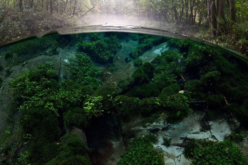 Утренний сон. фото превью